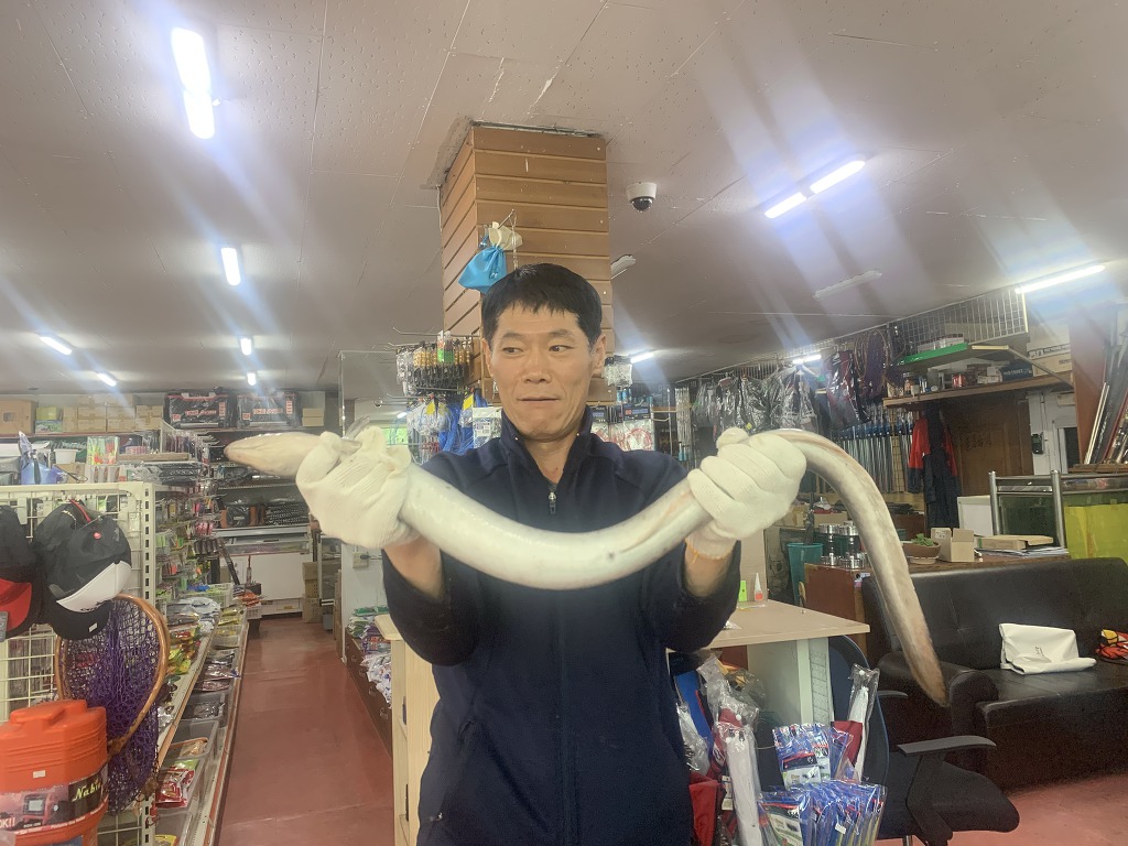 대물장어 이미지