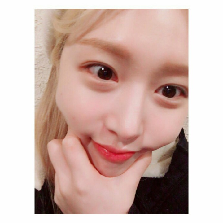 하얀소나무 이미지