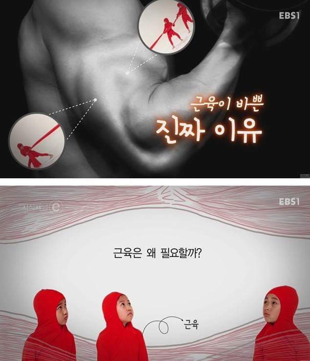 우리의 근육이 바쁜 이유 | 인스티즈