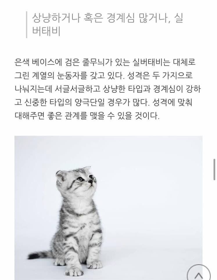 고양이 무늬별 격 .jpg | 인스티즈
