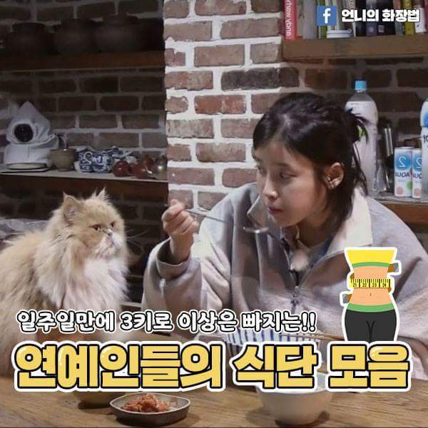 여자연예인등 식단 | 인스티즈
