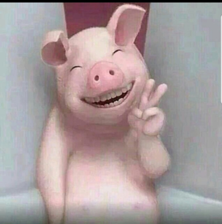 띵똥 이미지