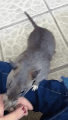 언니 잠깐 이것좀 보고가.gif | 인스티즈