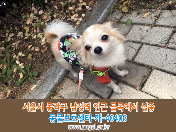 수컷 이미지