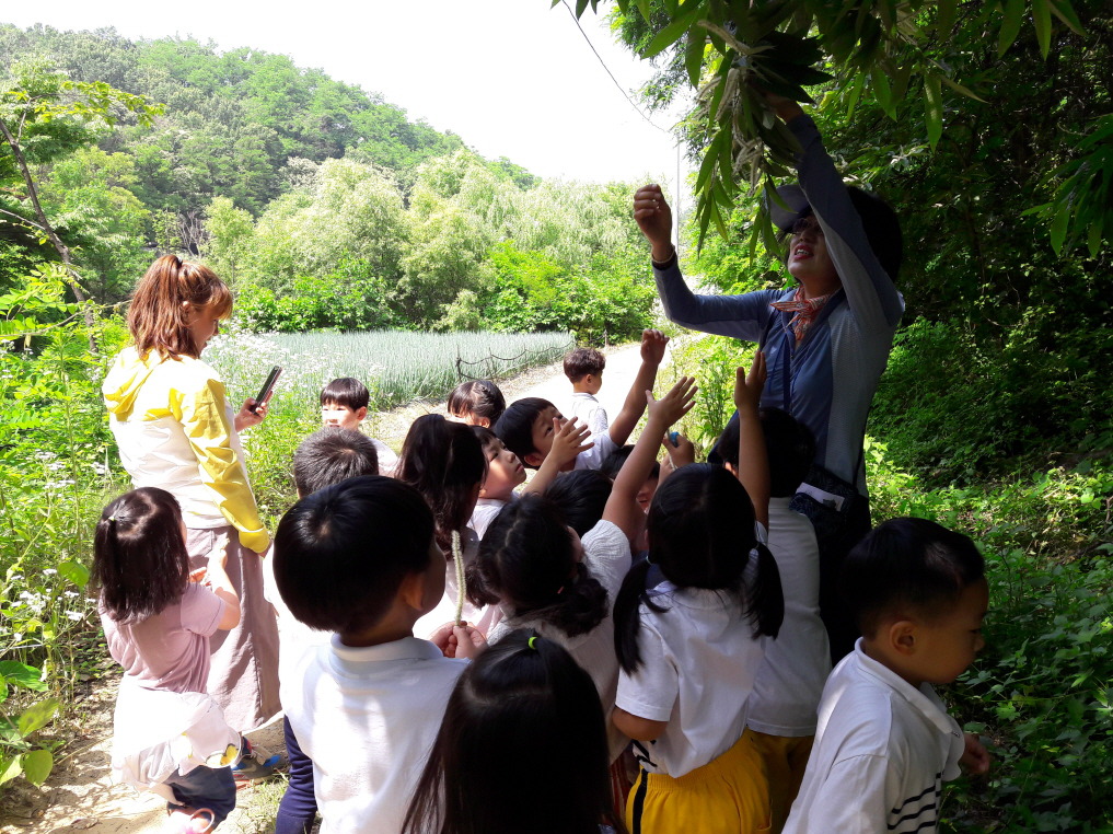 시립구름산어린이집 이미지