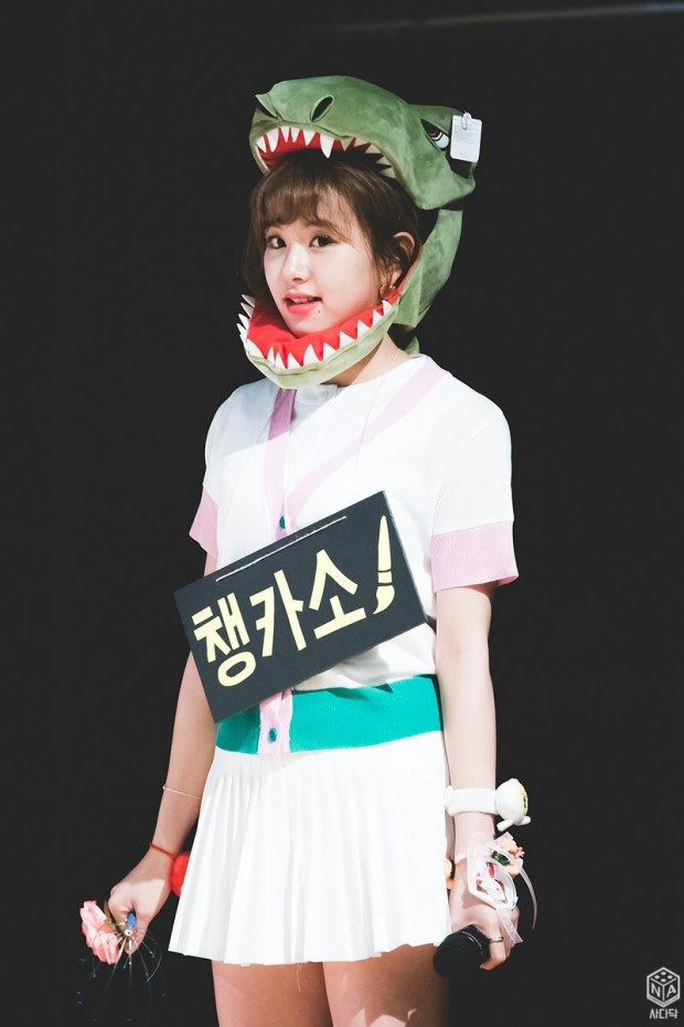 트와이스 채영 | 인스티즈