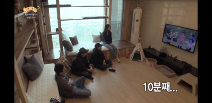 [고양이를부탁해] 세나개 강아지들과 고양이의 차이.jpg | 인스티즈