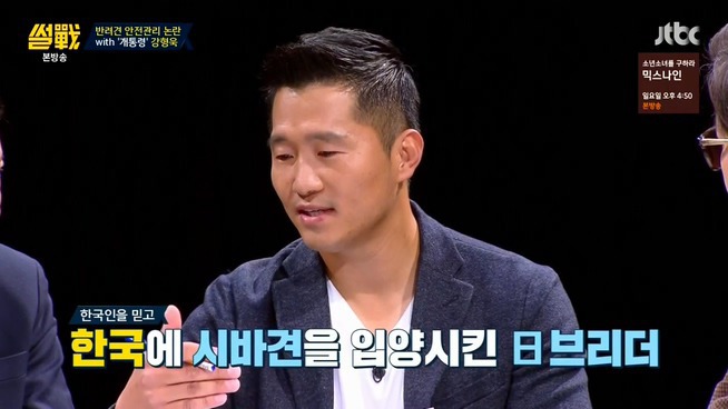 [썰전] 시바견 | 인스티즈