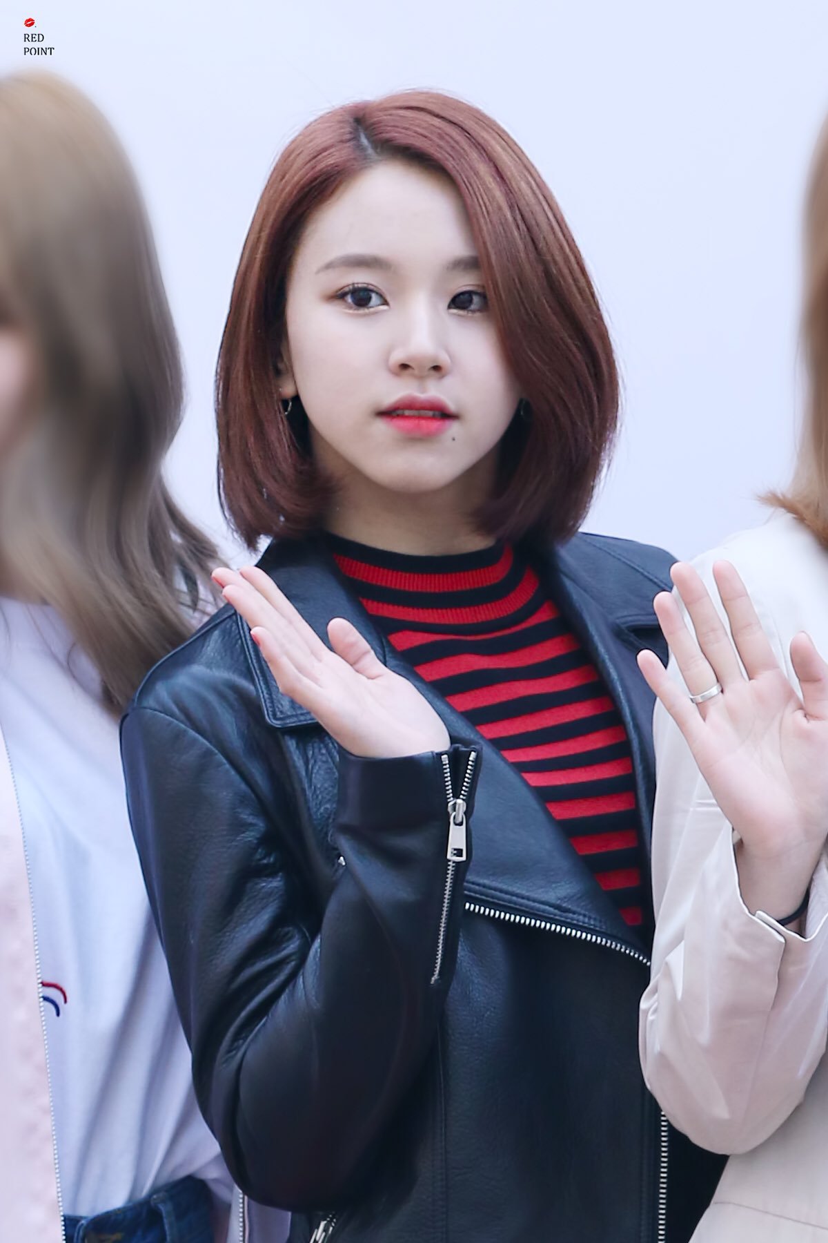 트와이스 손채영 고화질 사진 모음.jpg | 인스티즈