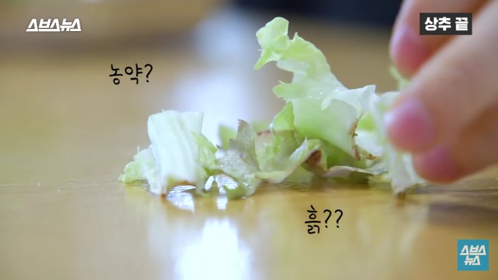 상추 끝부분 먹는다 vs 안먹는다 | 인스티즈