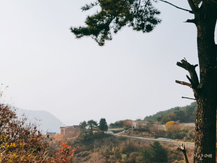 라인농원 이미지