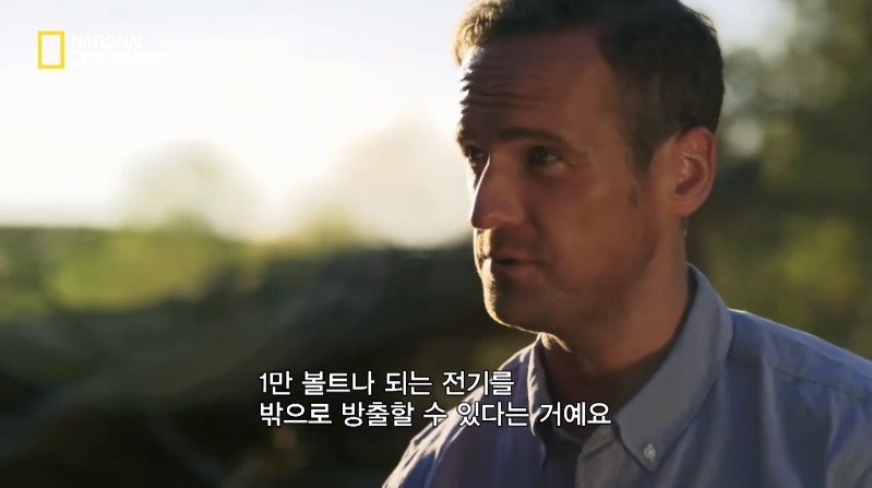 수박 안에 1만 볼트를 내보내면 생기는 일 | 인스티즈