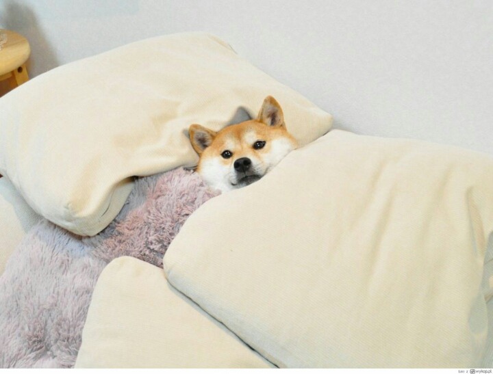 여친과의 관계중.JPG | 인스티즈