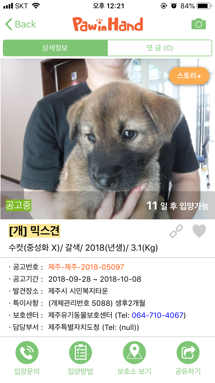 포인핸드 이미지