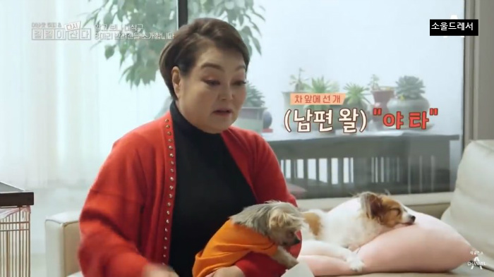  빅마마 이혜정의 스트릿출신 반려견들 (귀여움주의) | 인스티즈