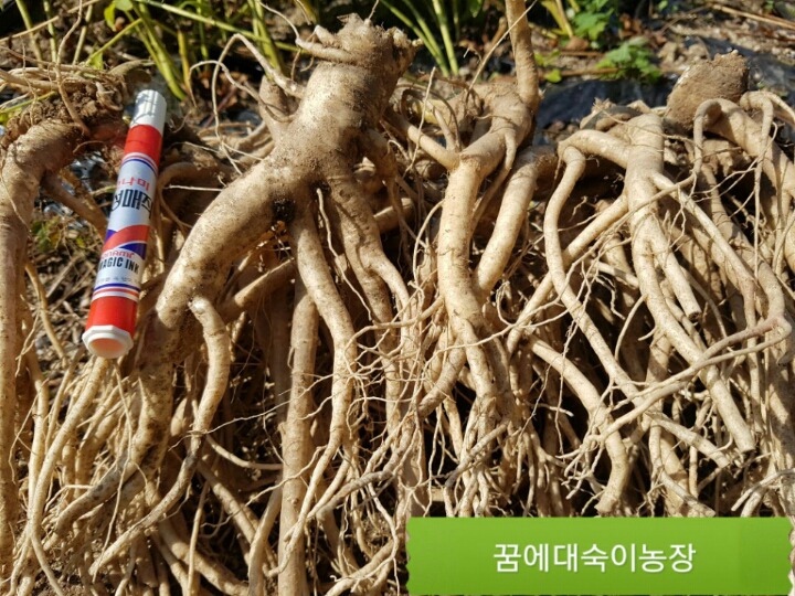 슈퍼우리농산물 이미지