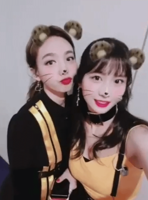 트와이스 모모 인스타그램 | 인스티즈