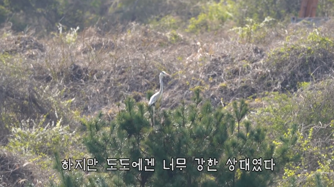 haha ha네 삼색이네 가족은 자기들끼리 노는게 제일 행복하고 재미있어 보임 | 인스티즈