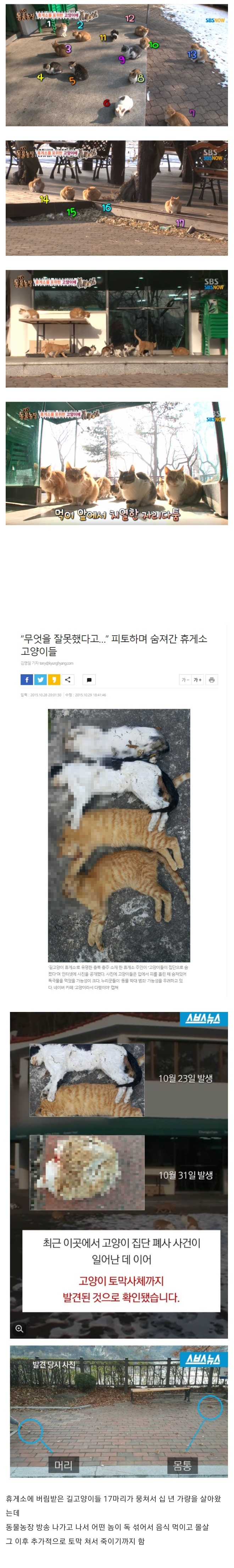 동물농장 방송 이후.. | 인스티즈