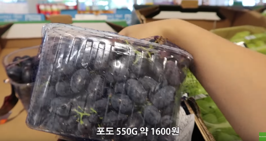 독일에서 1600원에 포도를 살수있는 양 | 인스티즈