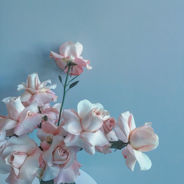 우리는분위기를사랑해 이미지