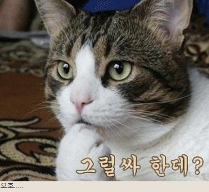 숙취 없는 술마시는 방법 | 인스티즈