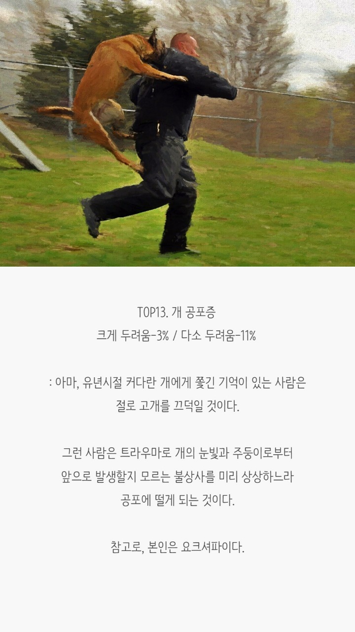 사람들이 겪는 공포증(무서운 사진 없음) | 인스티즈