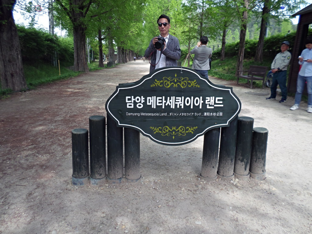 아로케이 이미지