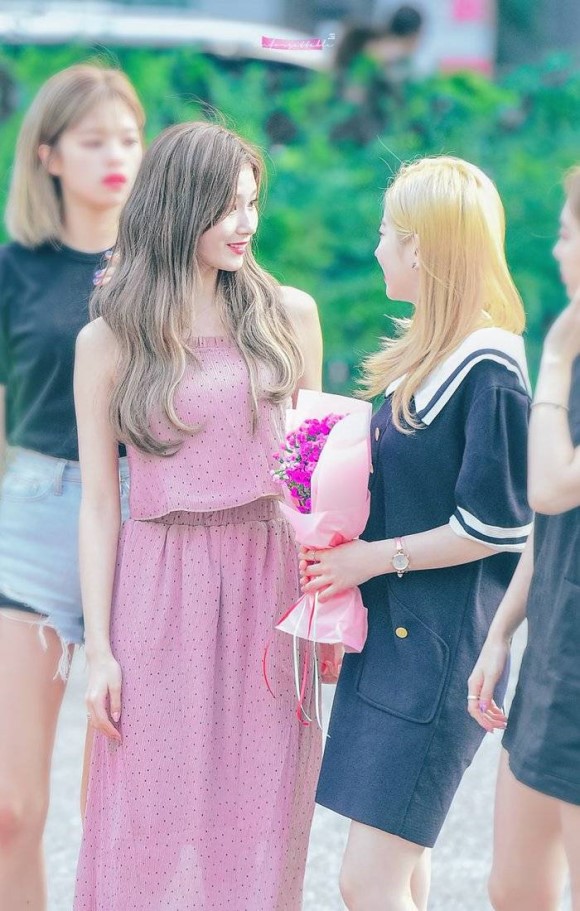 트와이스 시바견 미나토자키 사나 | 인스티즈