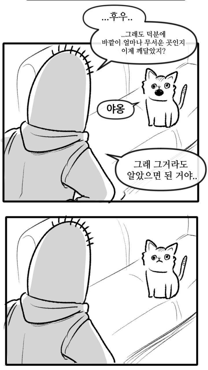 우리집 고양이 이야기.manhwa | 인스티즈