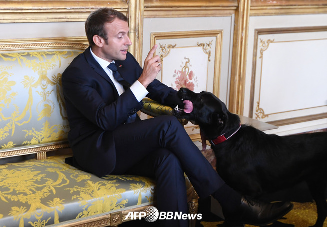 프랑스 대통령 취임식 | 인스티즈