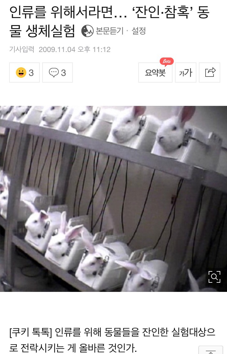 모피가 생산되는 과정 등 피하지말고 한번은 봐야 할 것들.. (동물보호법에 관심을 갖자+잔인함) | 인스티즈